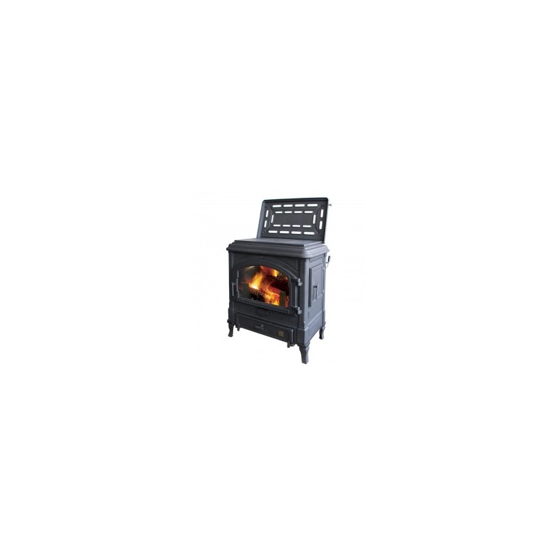 Struvay : Poêle à bois et charbon SURDIAC  Bayard II mixte 13,6 kW