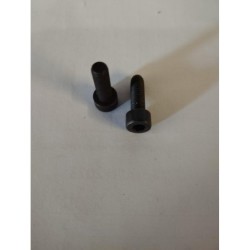 STRUVAY : Edilkamin : R254770 VIS TCL C/CAV HEX 5x16