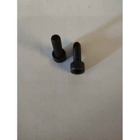 STRUVAY : Edilkamin : R254770 VIS TCL C/CAV HEX 5x16