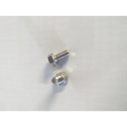 STRUVAY : Edilkamin : R84170 VIS INOX TE 5x10