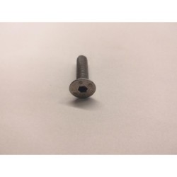 STRUVAY : Edilkamin : R121960 VIS INOX TSP / CAVA EXAG. 5x20
IRIS PLUS LILIA PLUS