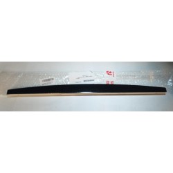 STRUVAY : Edilkamin : R1006720 INSERT CERAMIQUE NOIR